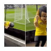FA Cup Ejects Sammy Saint: Mascot's Touchline Tantrum Costs Club Dearly