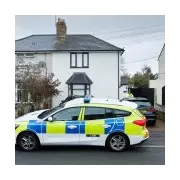 Family Dog Mauls Nine-Month-Old Baby to Death in Horrific Home Tragedy