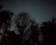 Finding Peace in Hertfordshire's November Darkness