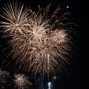 Fireworks ban petition hits 130k signatures, forcing Parliament debate