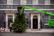 First Look: 2025 Downing Street Christmas Tree Unveiled in London