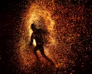 From Kerala's Kalaripayattu to British Hedgerows: Guardian Readers Share Their Stunning Photographs