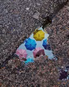 From London Mist to Viral Fame: The Accidental Masterpiece That Won Best Phone Photo