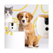 Furbo Pet Cam Black Friday Deals: Peace of Mind from £15