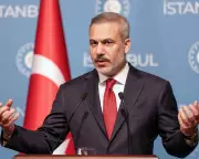 Gaza Stabilisation Force: UN Resolution Could Be Finalised Within Fortnight