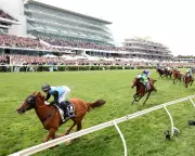 Half Yours Claims Dramatic Melbourne Cup Victory in Nail-Biting Finish