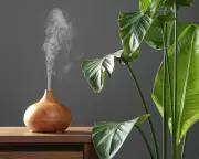 Houseplant Humidifiers: The Secret to Thriving Tropical Plants