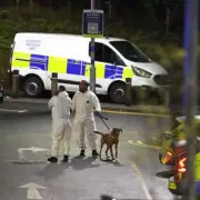 Huntingdon Train Attack: Suspect Named as Lee Peacock in Shocking Commuter Assault