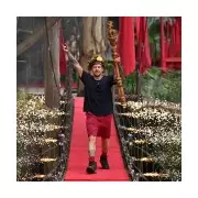 I'm a Celebrity Winners List 2002-2024: Complete Jungle Royalty Guide