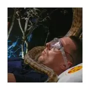 I'm A Celebrity's 'Most Painful' Trial Sends Fans Reeling