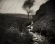 Inside George Orwell's Jura Writing Retreat: Where 1984 Came to Life