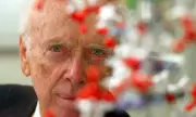 James Watson, DNA Pioneer and Nobel Laureate, Dies Aged 97