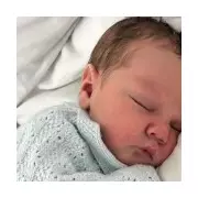 Jonte's Tragic Death: XL Bully Attack in Gwent Sparks Police Probe