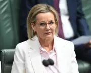 Liberal Party Rebellion: Pressure Mounts on Sussan Ley to Abandon Net Zero Pledge