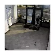 London Gallery Abandoned After £270k Banksy Heist, CEO Warns Art Not Safe