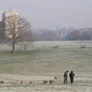 London's Best Winter Walk & Top UK Pub in Brockwell Park