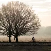 London's Deep Freeze: Met Office Ice Warning & 11-Day Rain Forecast