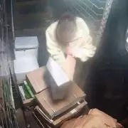 London's 'Fine Dining Bandit' Strikes Again: £800 Meat Stolen