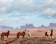 Mark Z Danielewski Returns With Epic 1200-Page Western 'Tom's Crossing' | The Guardian