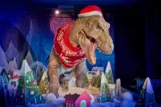 Natural History Museum's T-Rex Gets Festive 2025 Christmas Jumper