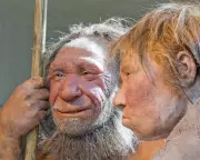 Neanderthals and Early Humans Shared Intimate Kisses, Study Reveals