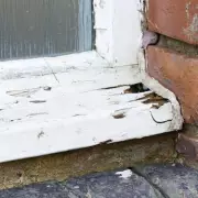 North London Council Under Fire as Residents Endure Winter Without Proper Windows