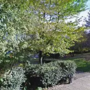 North London Heroine Fights Off Attacker in Daylight Ambush - Man Arrested