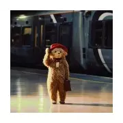 Paddington Favourite for Christmas No.1 with Tom Fletcher Song