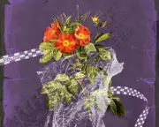 Police Distrust in Domestic Violence Cases Sparks National Outcry