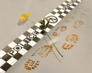 Police Failures in Hannah Clarke Case Revealed by Whistleblower