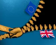 Rachel Reeves' Brexit Dilemma Deepens UK Economic Crisis