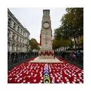 Remembrance Sunday 2025: Parade Times, Road Closures & How to Watch