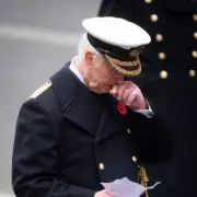 Remembrance Sunday London 2025: Timings, Road Closures & How to Watch