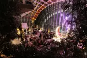 Sky Garden's Christmas 2025: Festive Dining & Live Music Nights