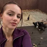 South London woman spends £60 weekly feeding 20 stray cats