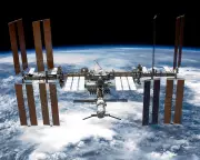 Space Moss Survives 9 Months on ISS Exterior, Could Aid Future Missions