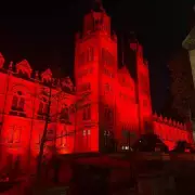 Step Inside London's Natural History Museum: An Unforgettable Journey Through Time