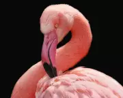 Test Your Wits! The Guardian's Ultimate General Knowledge Quiz for November 2025