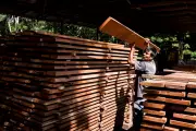 The Green Lie: Are Your 'Sustainable' Wood Products Actually Destroying Forests?