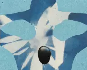 The Science of Touch: How Massage Therapy Boosts Health & Wellbeing