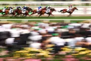 The Unstoppable Betting Frenzy: Why Australia's Love Affair with Horse Racing Gambling Continues