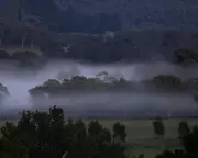 Three-Month Manhunt: The Unanswered Questions in Dezi Freeman Case