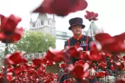 Tower of London Poppies: Final Day to See 2025 Display Before Removal