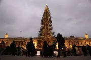 Trafalgar Square Christmas Tree 2025: Lighting Date & Details