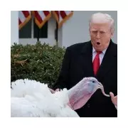Trump Gobbles Like a Turkey in Unforgettable White House Pardon