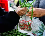 Trump's Food Stamp Threat Marks Historic Reversal of FDR's Moral Test