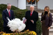 Trump's Turkey Pardon Chaos: Jokes, Insults and Tradition Trashed