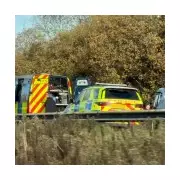 Two in 20s killed in tragic M1 crash as BMW hits tree