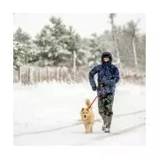 UK Braces for Coldest Night at -12C After Thundersnow Hits