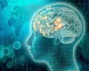 UNESCO Forges Historic Global Rules for Neurotechnology's 'Wild West'